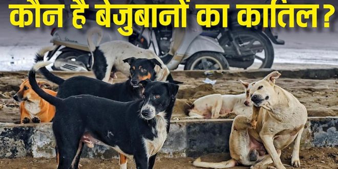 पशु क्रूरता का गंभीर मामला: तेलंगाना में 600 कुत्तों की कथित सामूहिक हत्या, प्रशासन ने शुरू की जांच