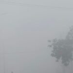 सीतापुर में घना कोहरा और ठंड का कहर: दृश्यता कम, जनजीवन प्रभावित