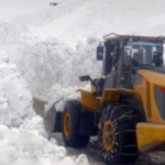 जोजिला में बर्फीला कहर, 7 की मौत; श्रीनगर-लेह मार्ग ठप, बचाव कार्य तेज