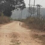 तीन महीने भी नहीं हुए, जावर की सीसी सड़क हो गई खस्ता हाल