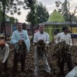 एटा में मौसम की मार, खेतों में बर्बाद हुई फसलें, किसानों पर आर्थिक संकट