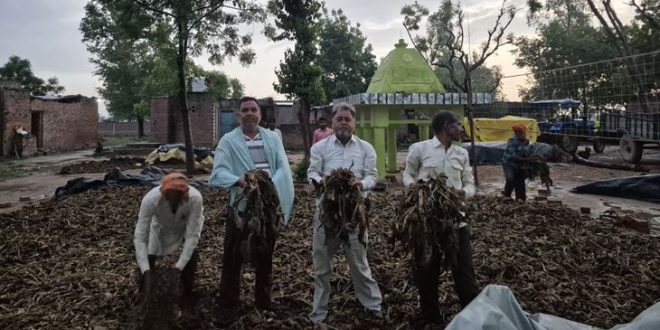 एटा में मौसम की मार, खेतों में बर्बाद हुई फसलें, किसानों पर आर्थिक संकट