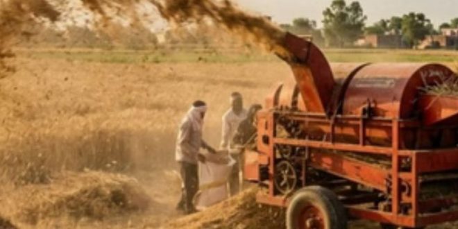 हरदोई में धूल का असर, अस्थमा और COPD मरीजों की संख्या तेजी से बढ़ी