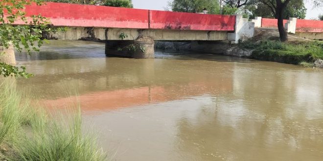 शारदा सहायक नहर में पानी पहुंचा, फिर भी माइनर सूखे; 2 लाख किसान संकट में, आंधी-बारिश से फसलें प्रभावित