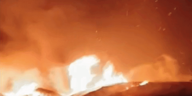 पोल्ट्री फार्म में लगी भीषण आग, अम्बेडकरनगर में हजारों मुर्गियों की जान गई।