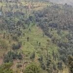 जम्मू-कश्मीर सीमा पर संदिग्ध पाकिस्तानी ड्रोन दिखने से हाई अलर्ट, राजौरी और सांबा में सघन सर्च ऑपरेशन