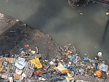 रानी लक्ष्मीबाई वार्ड की बदहाल तस्वीर, जलभराव-गंदगी से नाराज लोगों ने उठाई कार्रवाई की मांग