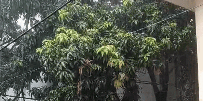 उत्तर प्रदेश में मौसम ने बदला मिजाज, 36 जिलों में भारी बारिश का अलर्ट; कई नदियों का बढ़ा जलस्तर