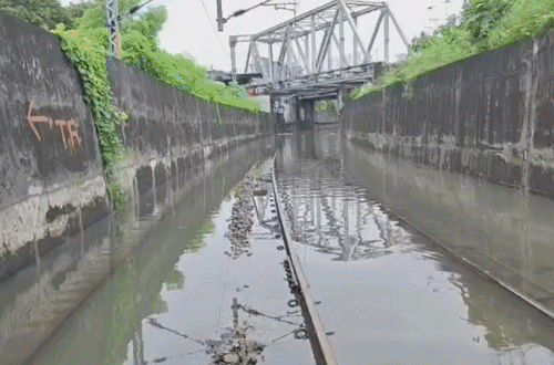 बरेली में भारी बारिश से बिगड़े हालात, 100 साल का रिकॉर्ड टूटा; 200 घरों में पानी, ट्रैक्टर से बचाव